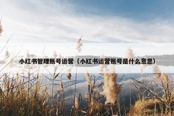 小红书管理账号运营（小红书运营账号是什么意思）