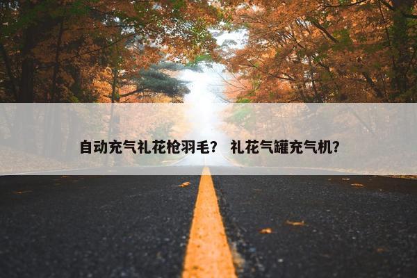自动充气礼花枪羽毛? 礼花气罐充气机? 自动充气礼花枪羽毛? 礼花气罐充气机?