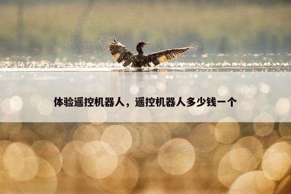 体验遥控机器人,遥控机器人多少钱一个 体验遥控机器人,遥控机器人多少钱一个