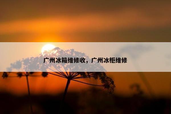 广州冰箱维修收，广州冰柜维修
