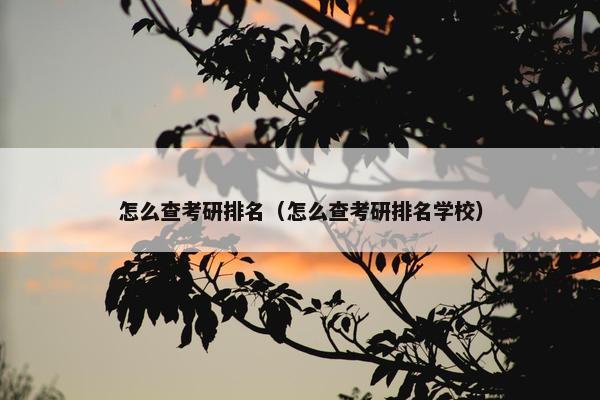 怎么查考研排名(怎么查考研排名学校) 怎么查考研排名(怎么查考研排名学校)