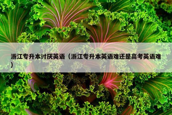 浙江专升本讨厌英语(浙江专升本英语难还是高考英语难) 浙江专升本讨厌英语(浙江专升本英语难还是高考英语难)