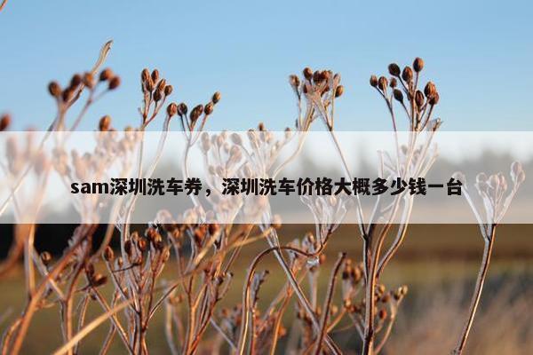 sam深圳洗车券，深圳洗车价格大概多少钱一台