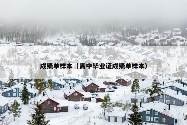 成绩单样本（高中毕业证成绩单样本）