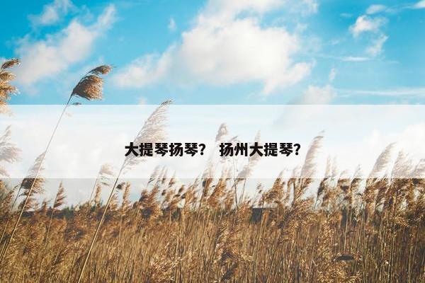大提琴扬琴？ 扬州大提琴？