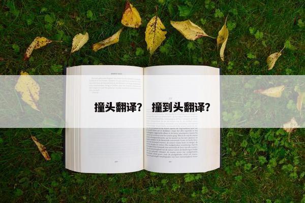 撞头翻译？ 撞到头翻译？