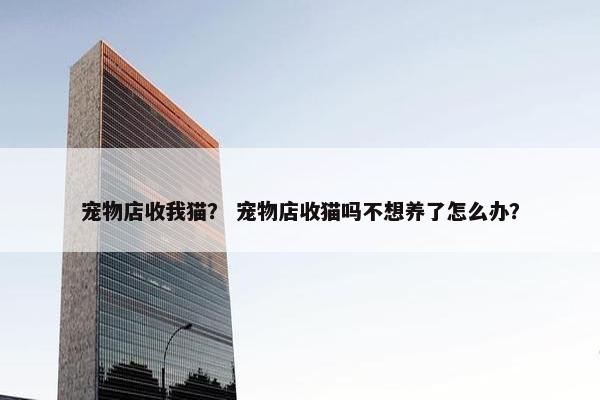 宠物店收我猫？ 宠物店收猫吗不想养了怎么办？