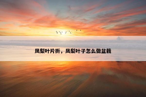 凤梨叶片折，凤梨叶子怎么做盆栽