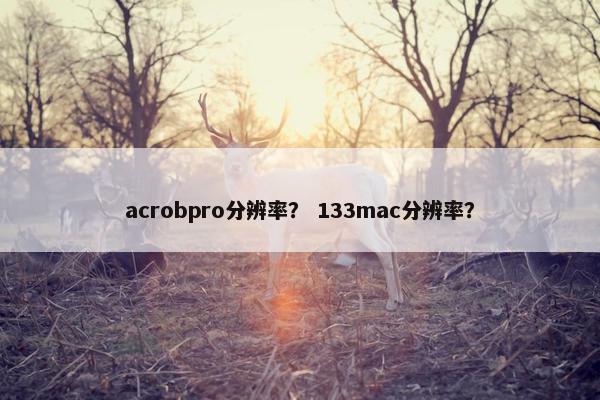 acrobpro分辨率？ 133mac分辨率？