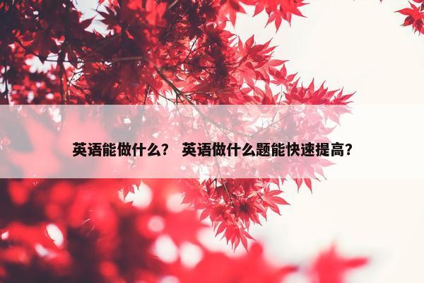 英语能做什么？ 英语做什么题能快速提高？