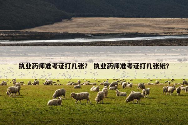 执业药师准考证打几张? 执业药师准考证打几张纸? 执业药师准考证打几张? 执业药师准考证打几张纸?