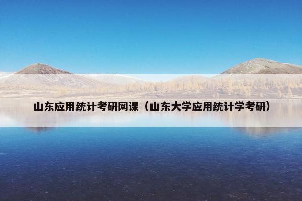 山东应用统计考研网课（山东大学应用统计学考研）