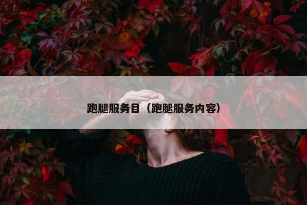 跑腿服务目（跑腿服务内容）