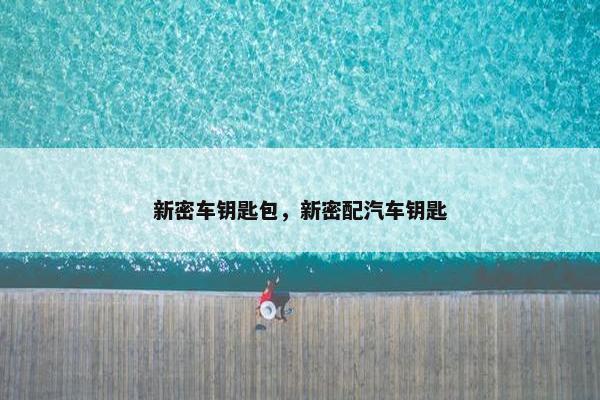 新密车钥匙包，新密配汽车钥匙