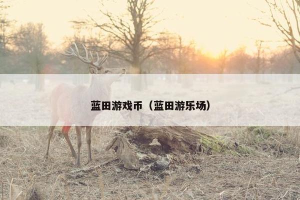 蓝田游戏币（蓝田游乐场）