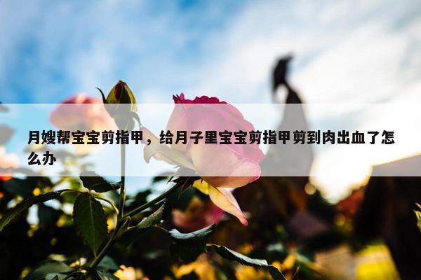 月嫂帮宝宝剪指甲，给月子里宝宝剪指甲剪到肉出血了怎么办