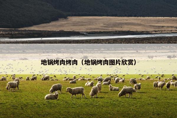 地锅烤肉烤肉（地锅烤肉图片欣赏）
