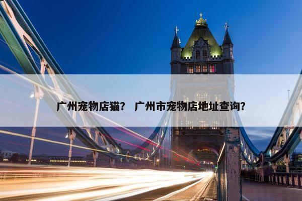 广州宠物店猫？ 广州市宠物店地址查询？