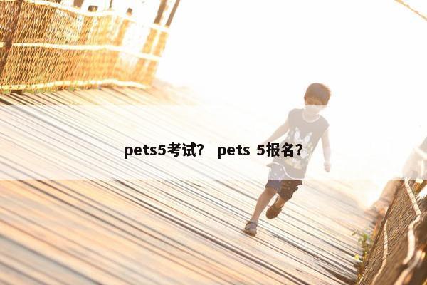 pets5考试？ pets 5报名？