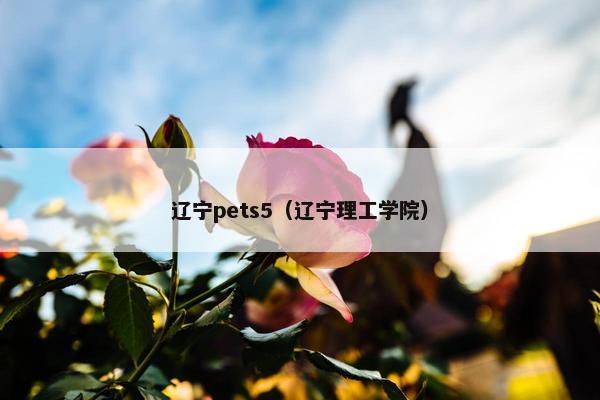 辽宁pets5（辽宁理工学院）