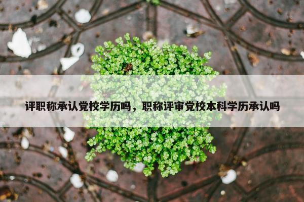 评职称承认党校学历吗，职称评审党校本科学历承认吗