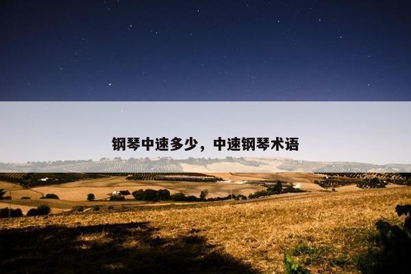 钢琴中速多少，中速钢琴术语