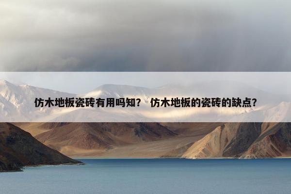 仿木地板瓷砖有用吗知？ 仿木地板的瓷砖的缺点？