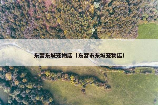 东营东城宠物店（东营市东城宠物店）