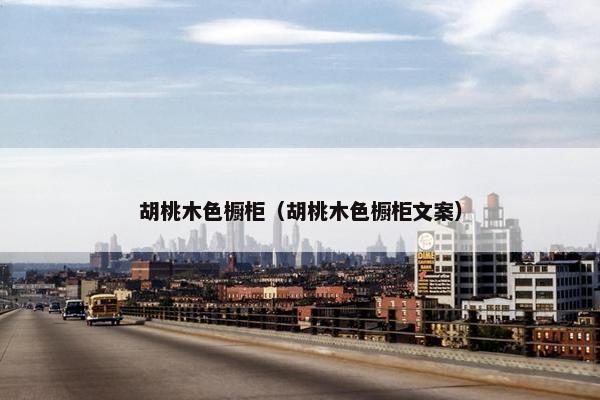 胡桃木色橱柜（胡桃木色橱柜文案）