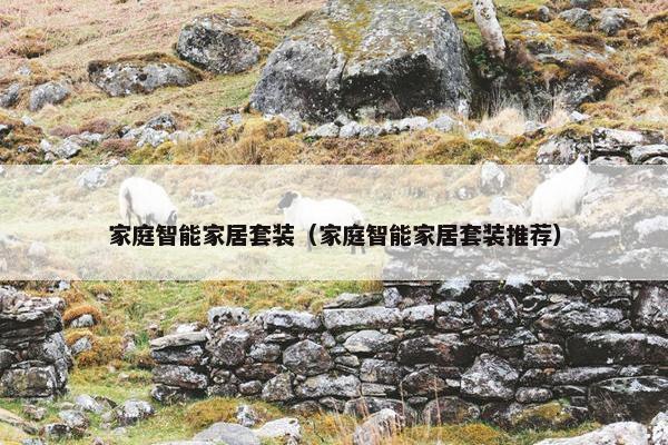 家庭智能家居套装（家庭智能家居套装推荐）
