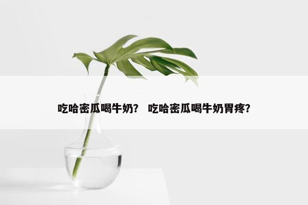 吃哈密瓜喝牛奶？ 吃哈密瓜喝牛奶胃疼？
