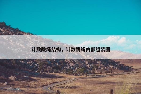 计数跳绳结构，计数跳绳内部组装图
