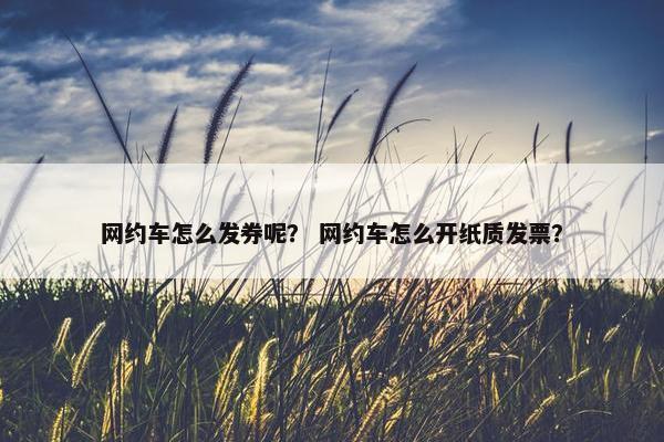 网约车怎么发券呢? 网约车怎么开纸质发票? 网约车怎么发券呢? 网约车怎么开纸质发票?