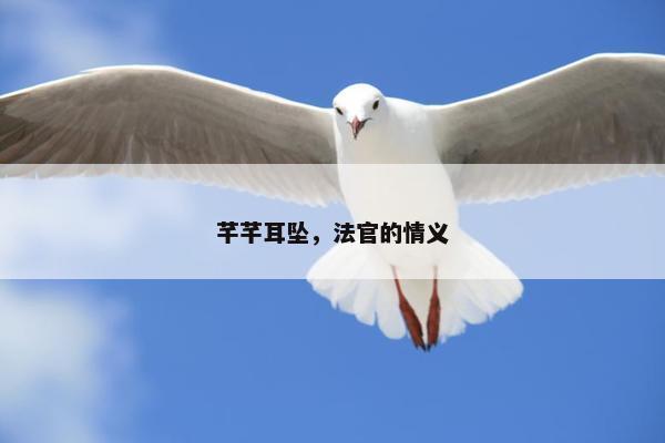 芊芊耳坠，法官的情义