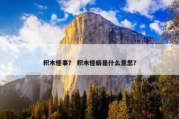 积木怪事？ 积木怪癖是什么意思？