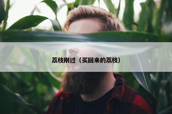 荔枝刚过（买回来的荔枝）