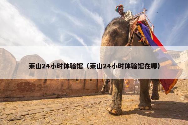 莱山24小时体验馆（莱山24小时体验馆在哪）