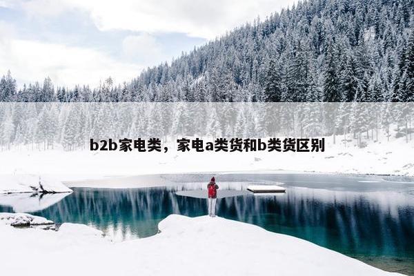 b2b家电类，家电a类货和b类货区别