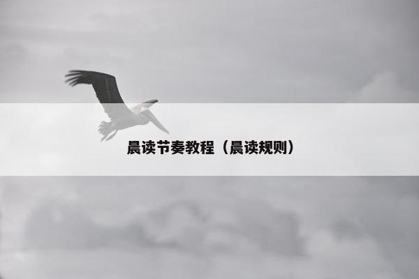 晨读节奏教程（晨读规则）