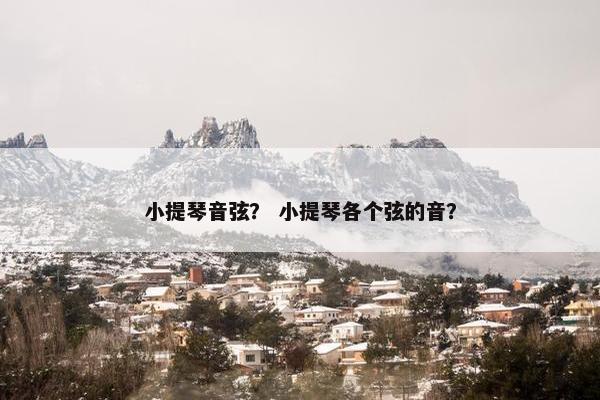 小提琴音弦？ 小提琴各个弦的音？