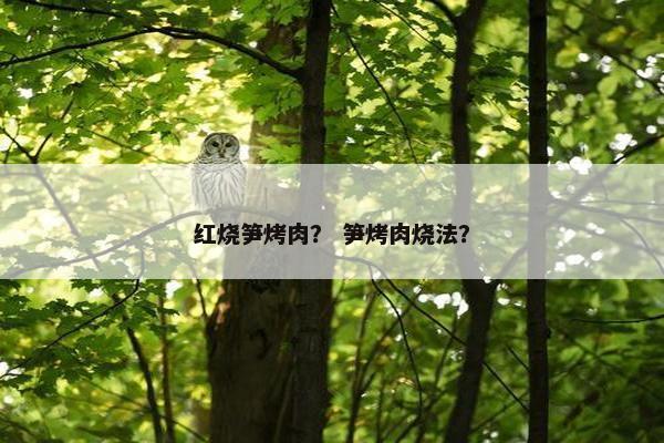 红烧笋烤肉？ 笋烤肉烧法？