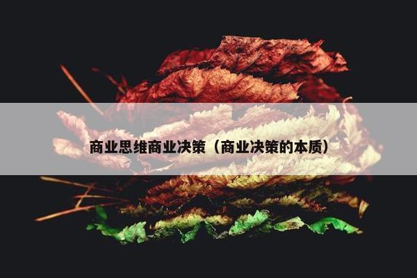 商业思维商业决策（商业决策的本质）