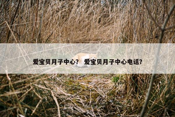 爱宝贝月子中心？ 爱宝贝月子中心电话？