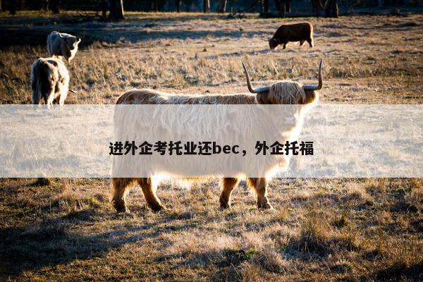 进外企考托业还bec，外企托福