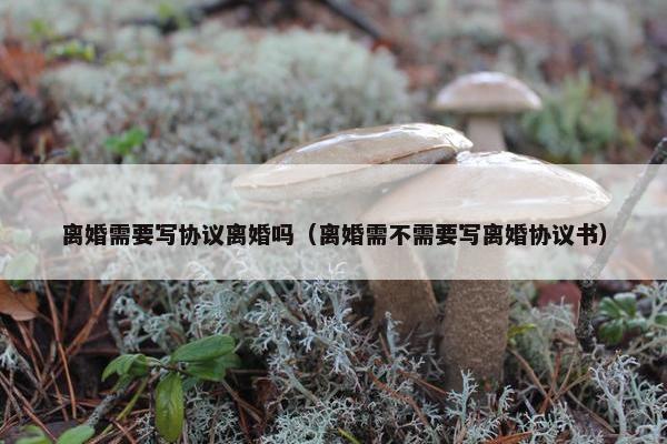 离婚需要写协议离婚吗（离婚需不需要写离婚协议书）