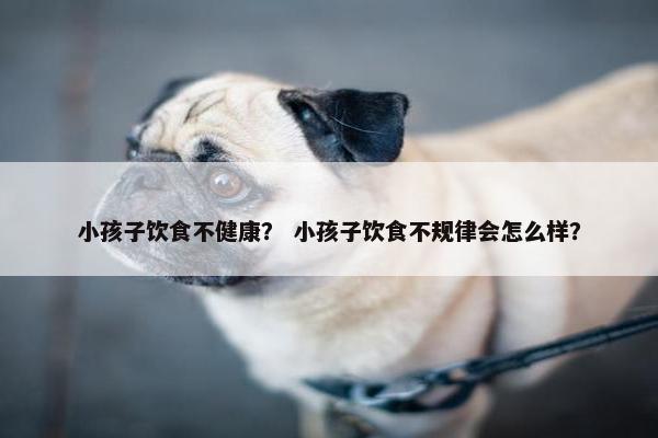 小孩子饮食不健康？ 小孩子饮食不规律会怎么样？