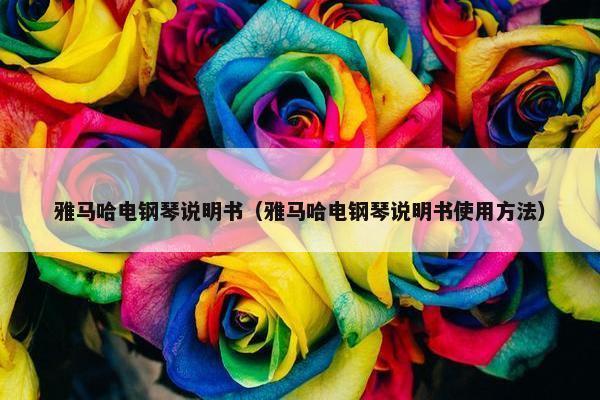 雅马哈电钢琴说明书（雅马哈电钢琴说明书使用方法）