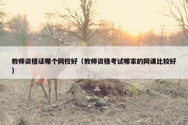 教师资格证哪个网校好（教师资格考试哪家的网课比较好）