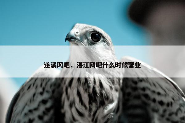 遂溪网吧，湛江网吧什么时候营业
