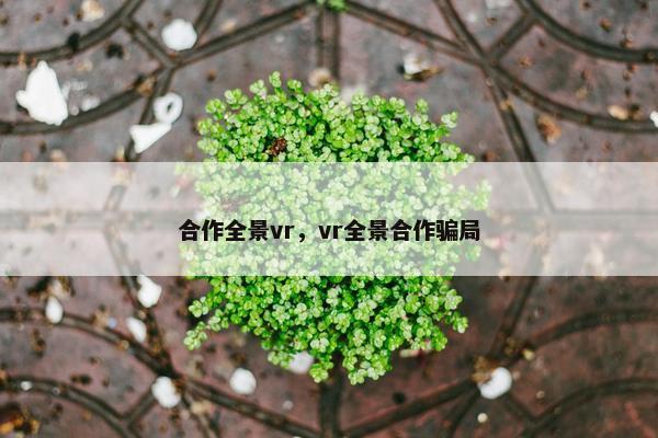 合作全景vr，vr全景合作骗局